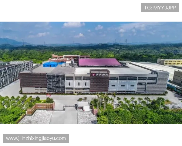 欧博2代平台持续优化用户体验，打造行业领先的线上娱乐平台